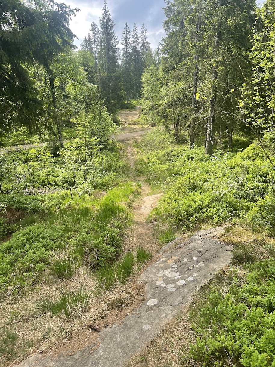 1 km Oslo Trail Run ved kryssing av vei