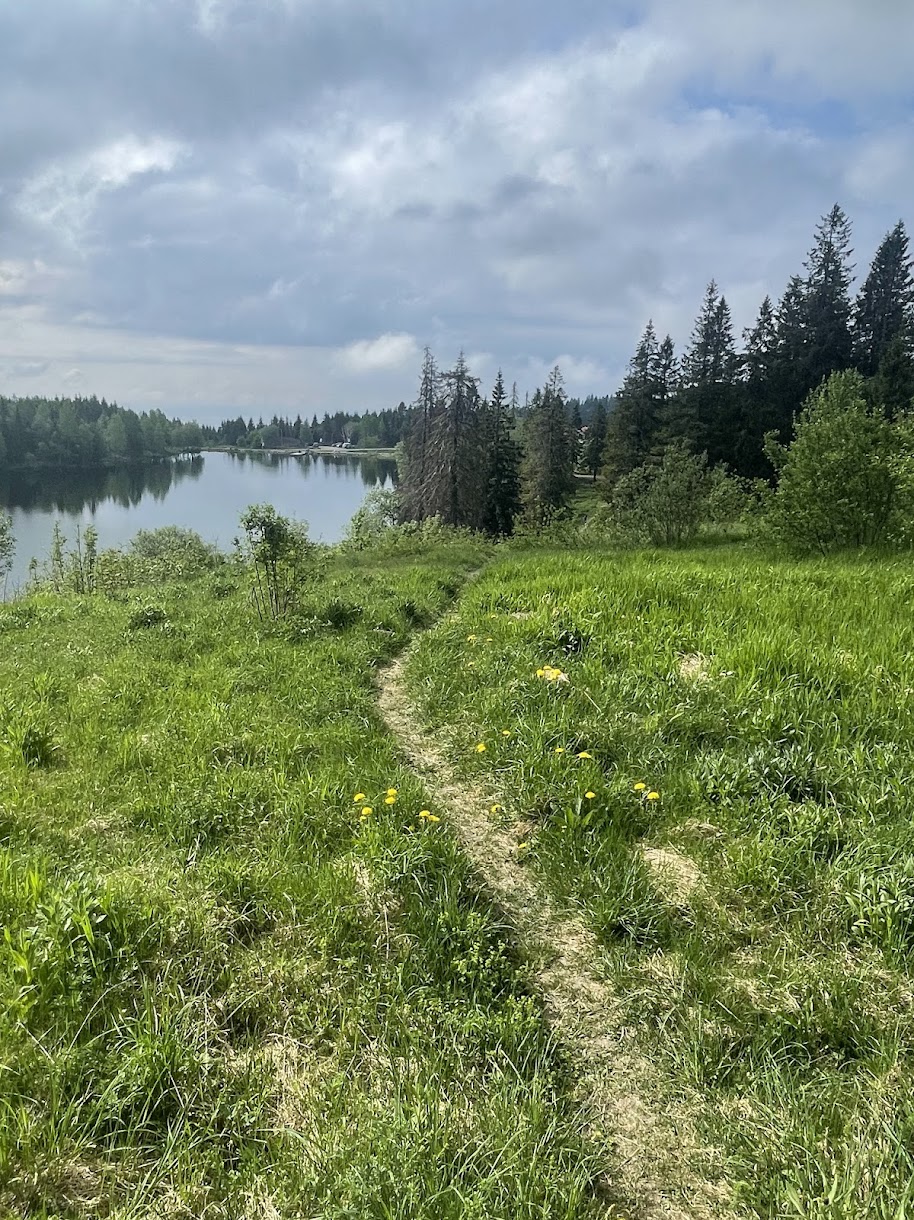 5 km - 2oo m til mål Oslo Trail Run Øvresetertjern