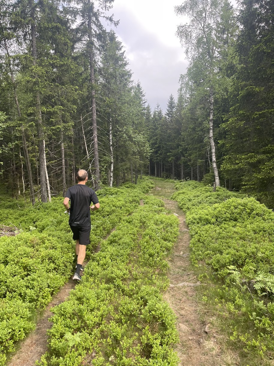 Oslo Trail Run terrengløy Tryvann